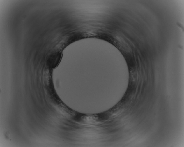 X0000096960223200803071058