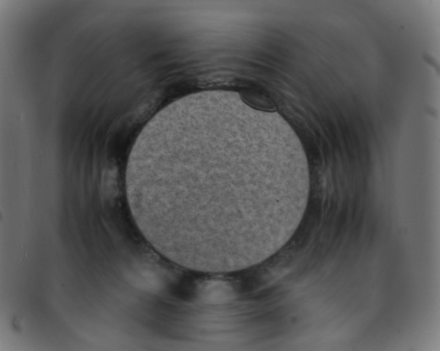 X0000096960224200803071058