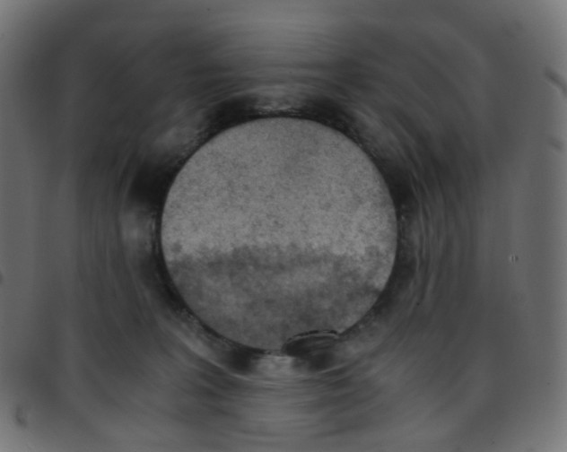 X0000096960227200803071058