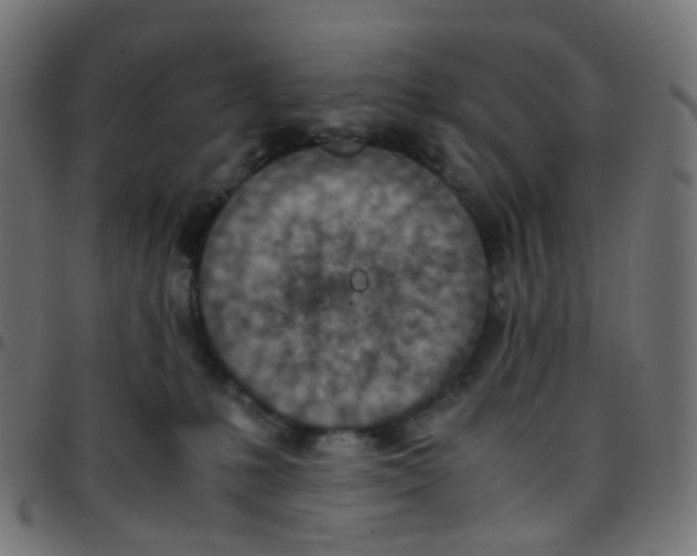 X0000096960231200803071058