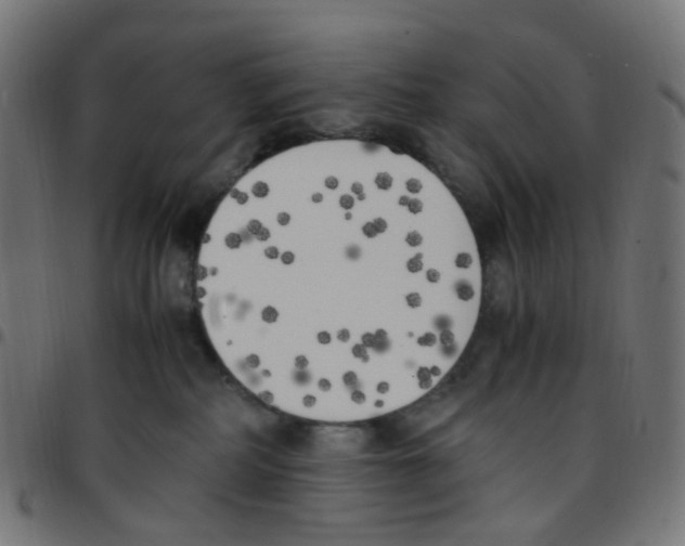 X0000096960234200803071058