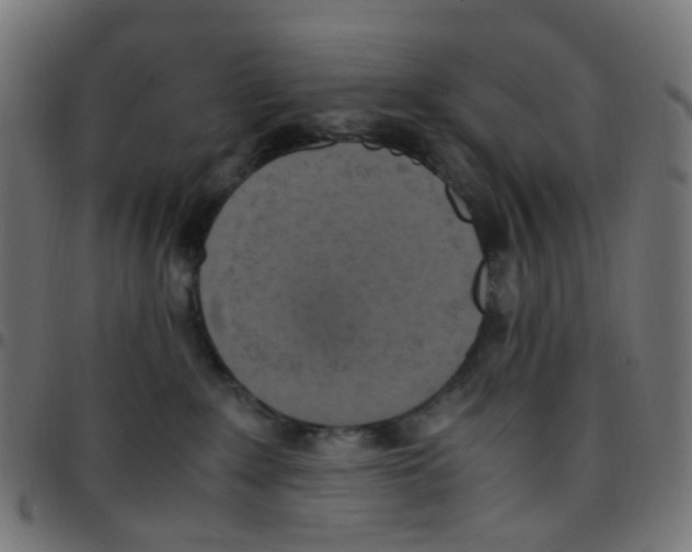 X0000096960235200803071058