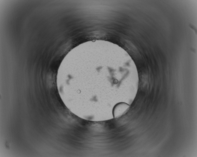 X0000096960236200803071058