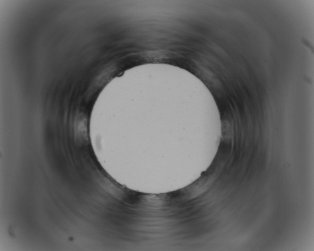 X0000096960238200803071058