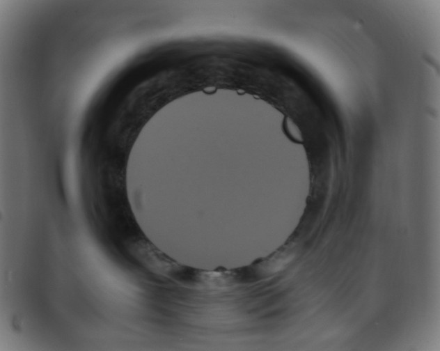 X0000096960239200803071058