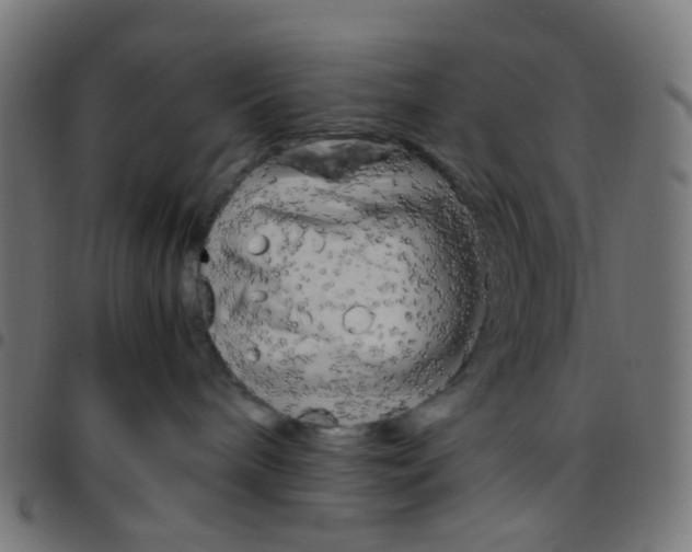 X0000096960240200803071058