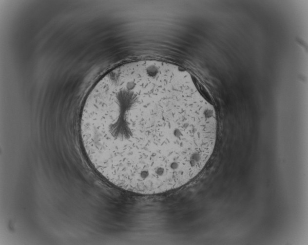 X0000096960241200803071057