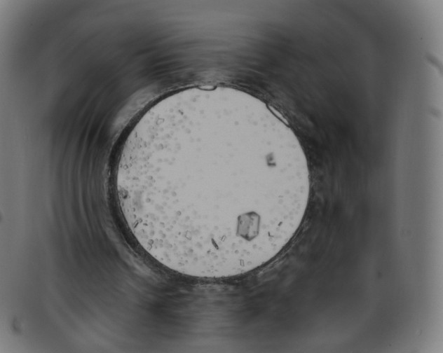 X0000096960242200803071057