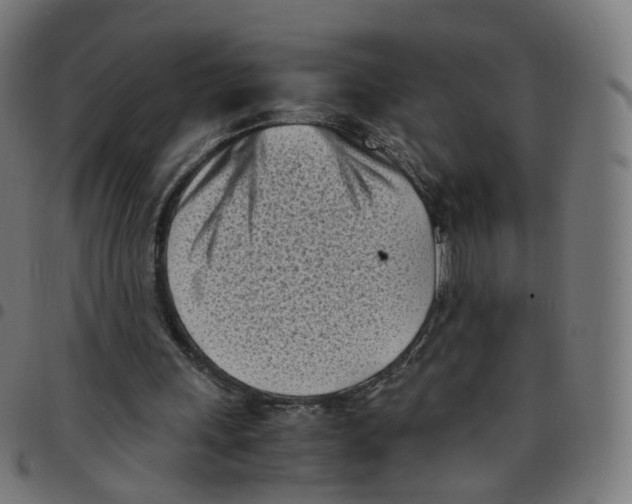 X0000096960243200803071057