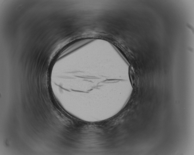 X0000096960244200803071057