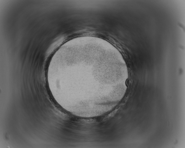 X0000096960245200803071057