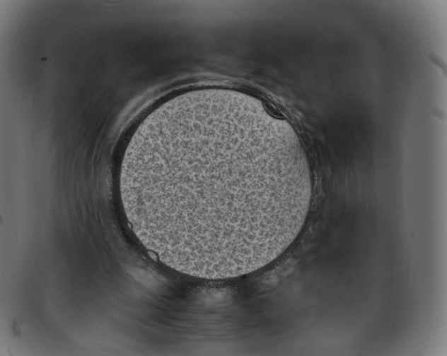 X0000096960247200803071057