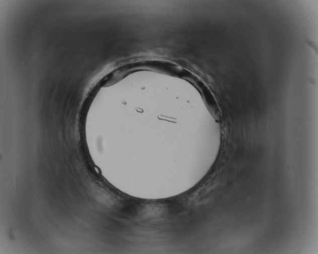 X0000096960248200803071057