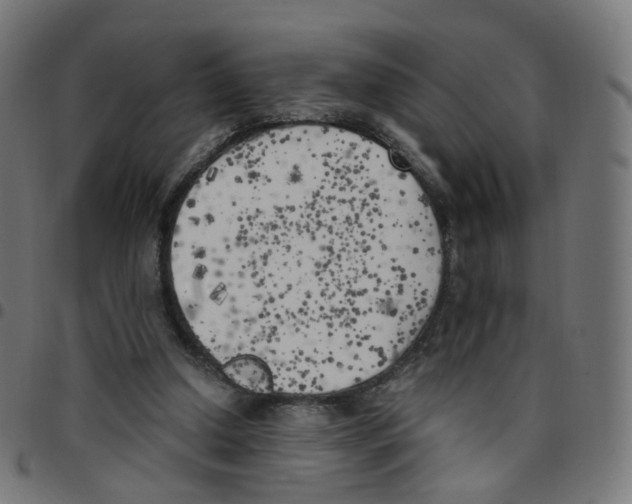 X0000096960250200803071057