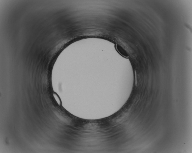 X0000096960252200803071057