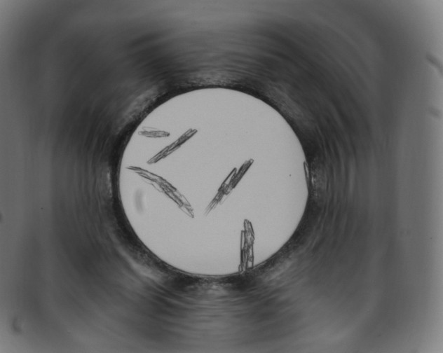 X0000096960254200803071057