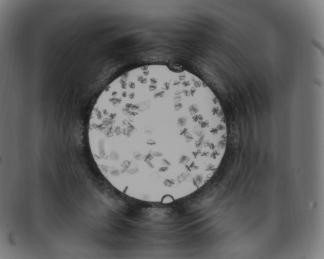 X0000096960255200803071057