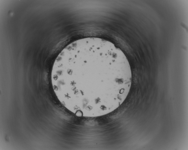 X0000096960258200803071057