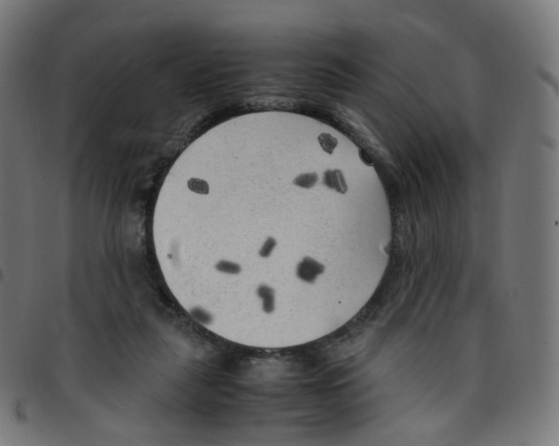 X0000096960259200803071057