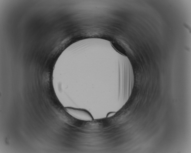 X0000096960260200803071057