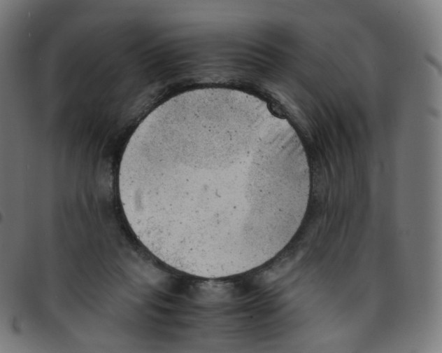 X0000096960261200803071057