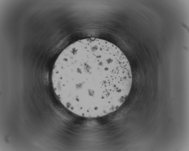 X0000096960262200803071057