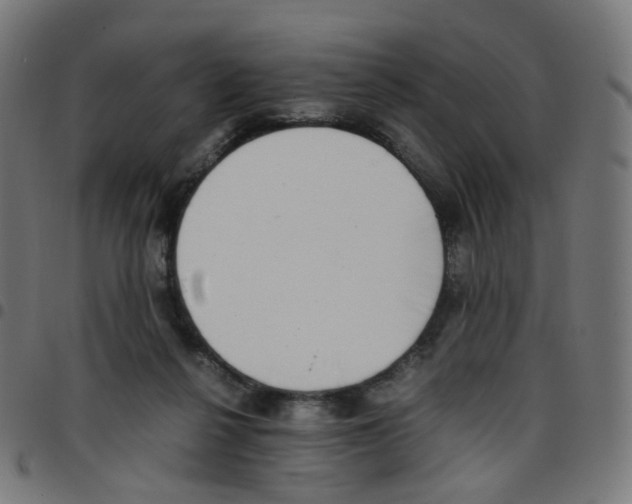 X0000096960264200803071057