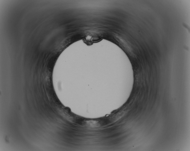 X0000096960265200803071057