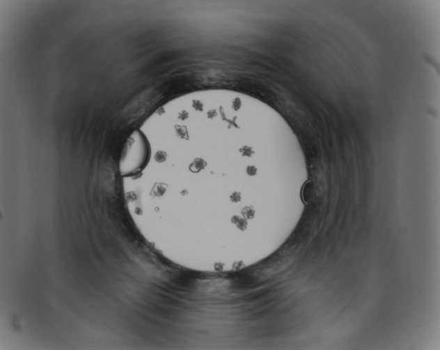 X0000096960266200803071057