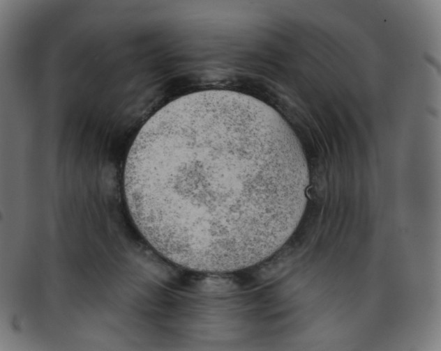 X0000096960270200803071057