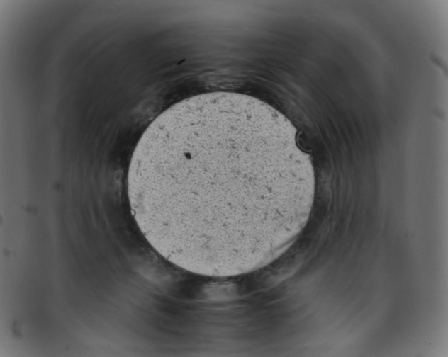 X0000096960271200803071058