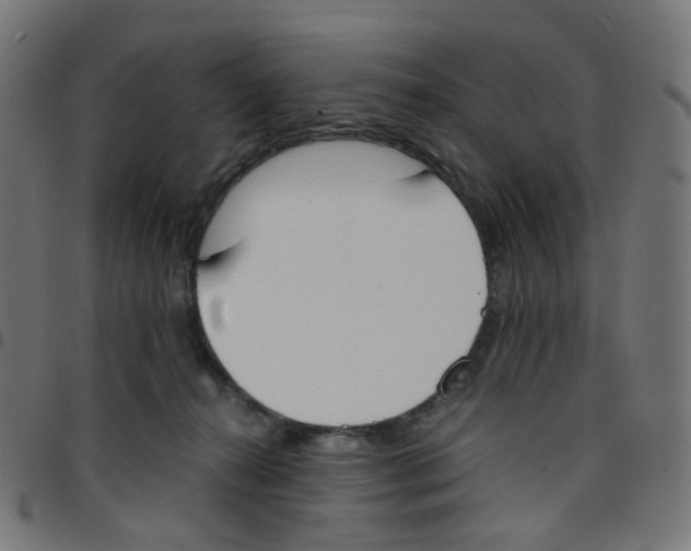 X0000096960272200803071058