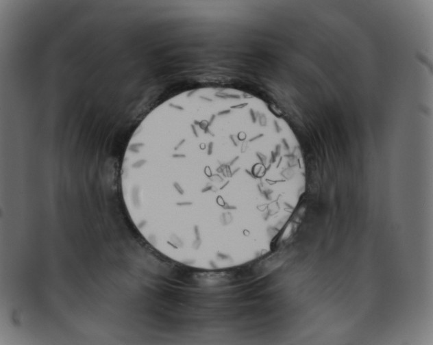 X0000096960273200803071058