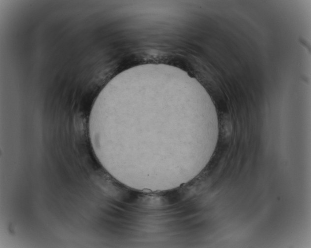 X0000096960276200803071058