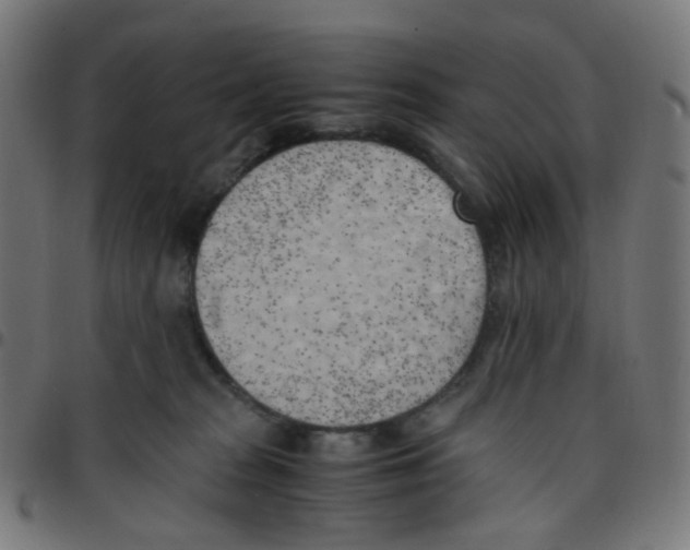 X0000096960277200803071058