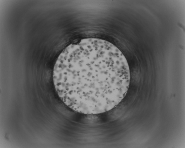 X0000096960278200803071058