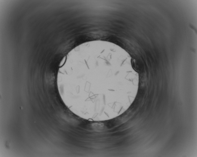 X0000096960279200803071058