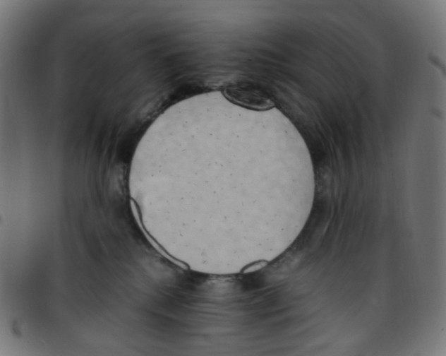 X0000096960280200803071058