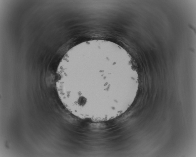 X0000096960281200803071058