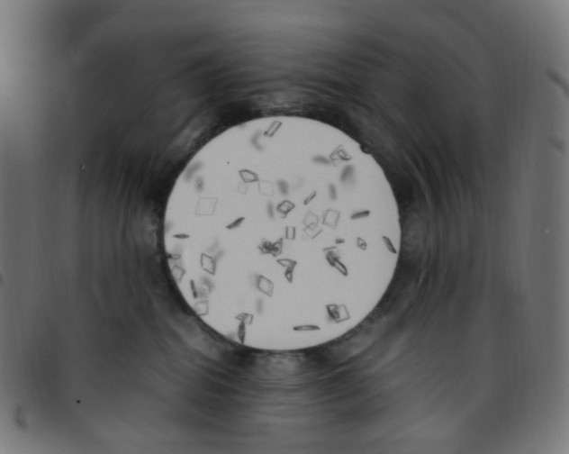 X0000096960282200803071058