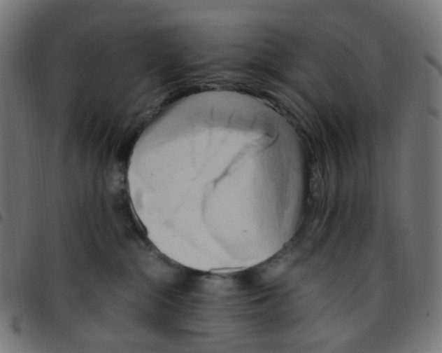 X0000096960284200803071058