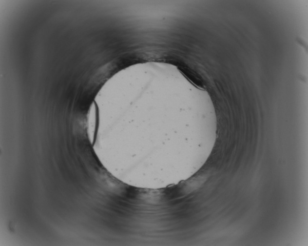 X0000096960288200803071058