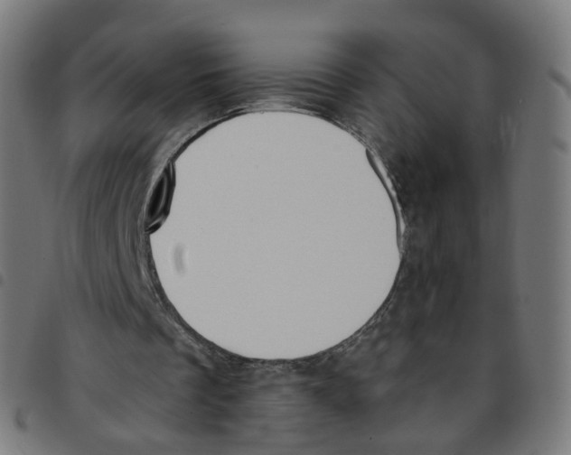 X0000096960289200803071057