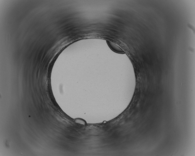 X0000096960290200803071057