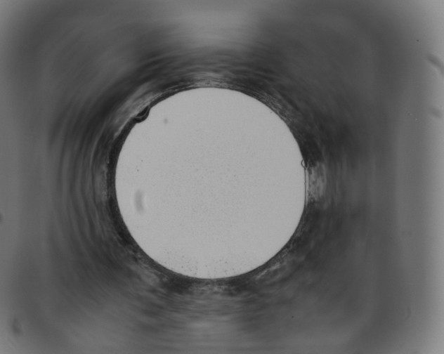 X0000096960291200803071057