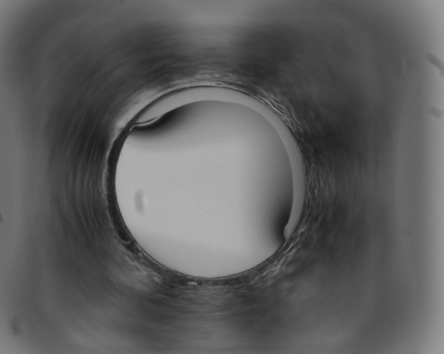 X0000096960292200803071057