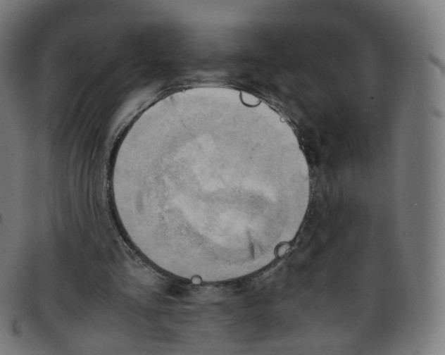 X0000096960293200803071057