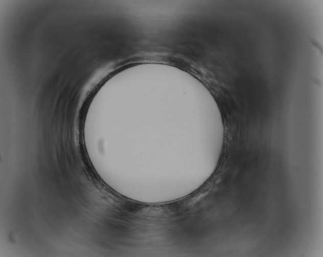 X0000096960294200803071057