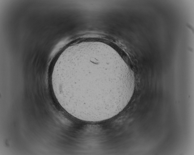 X0000096960296200803071057