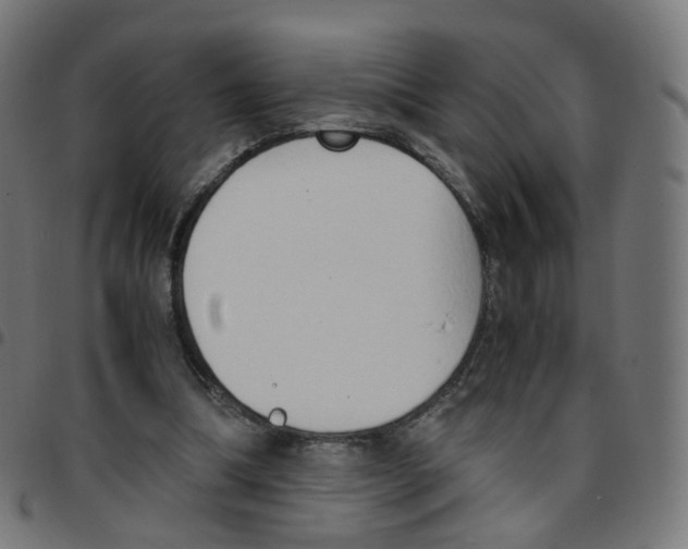 X0000096960298200803071057